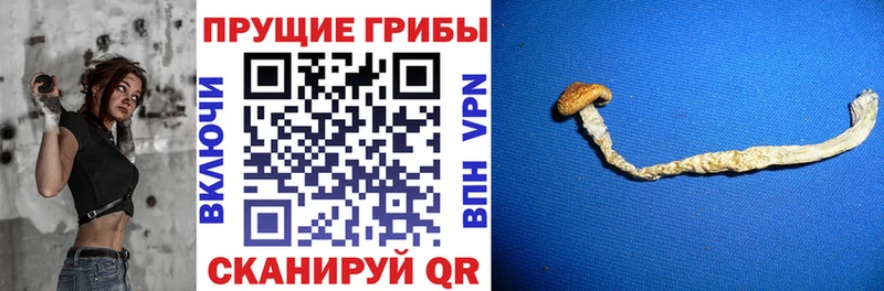 цены   Минеральные Воды  Галлюциногенные грибы Magic Shrooms 